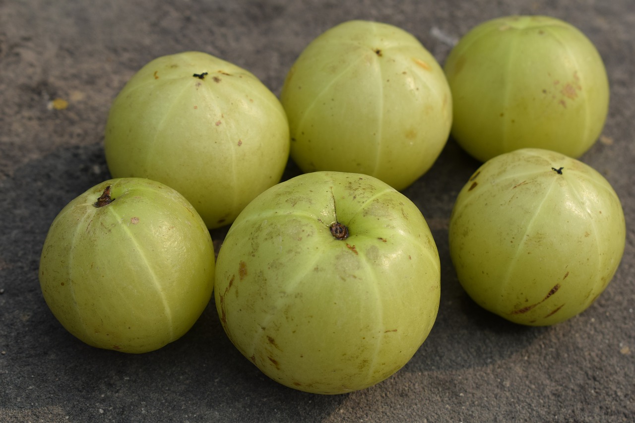 indian gooseberry 6229061 1280 1